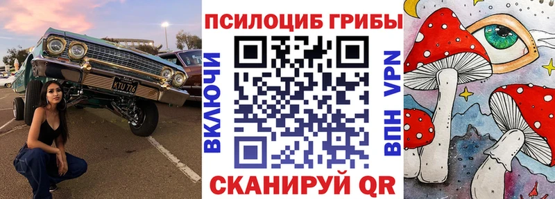 Галлюциногенные грибы прущие грибы  Купино 